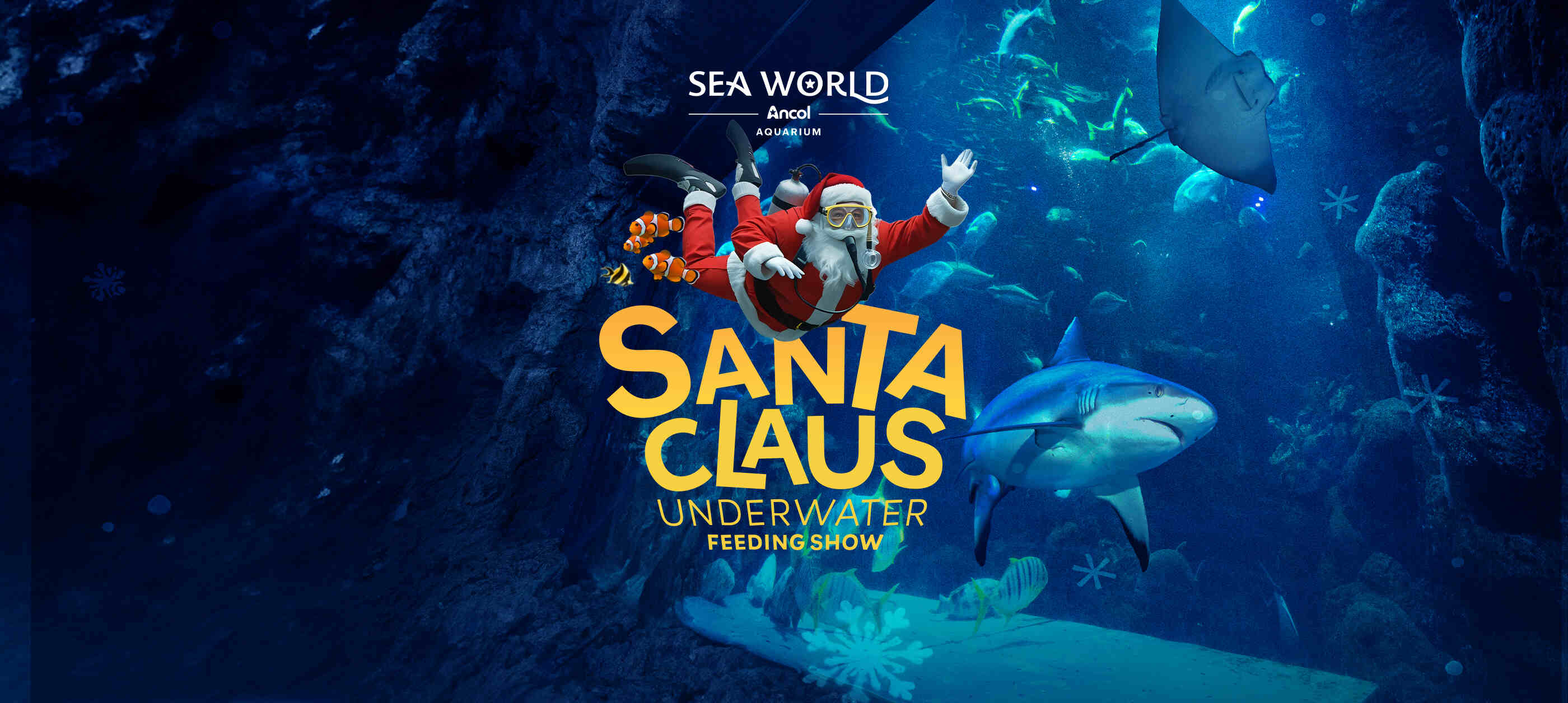 Santa Claus Underwater